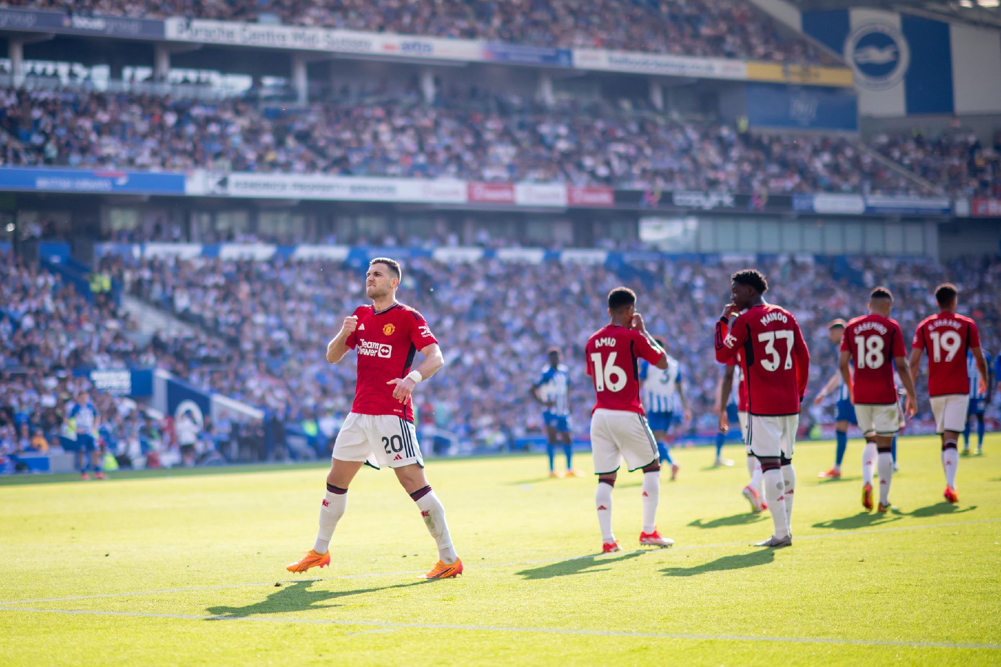 长的养分 长的养分